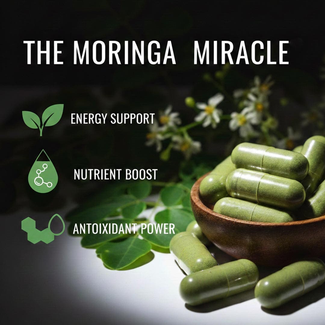 Moringa-Carousel-2