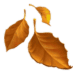 Sale Icon